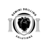 Gemini Drilling Solutions LLC